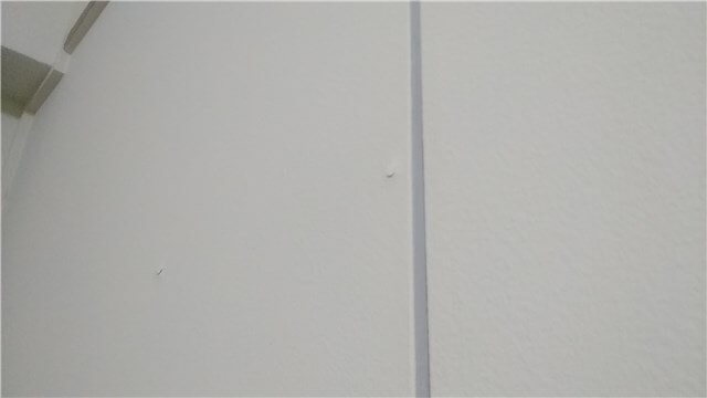 ビレッジハウスの内見で確認すること 部屋の壁の塗装