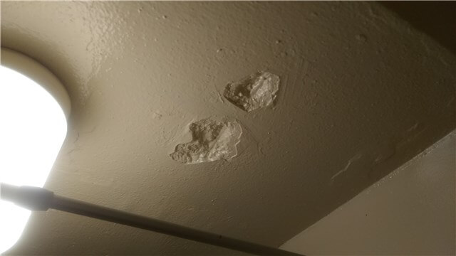 ビレッジハウスの内見で確認すること お風呂の壁