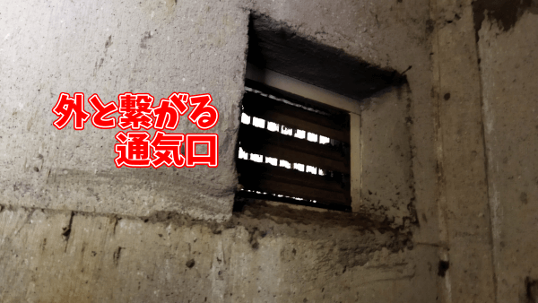 ビレッジハウスは虫が多くてやばい 侵入経路